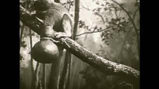 Trapping a Monkey in Colonial Times / La Chasse au Singe à l''epoque coloniale (1912)
