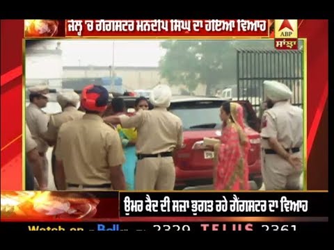 Jail `ਚ Gangster ਦਾ ਵਿਆਹ, ਦੁਲਹਨ ਸੱਜਧੱਜ ਪਹੁੰਚੀ Jail | ABP Sanjha |