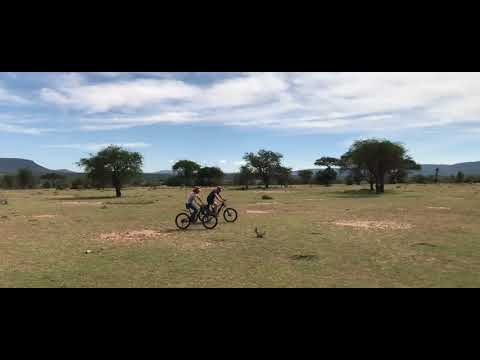 Prumbaum goes Africa: