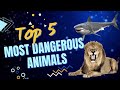 Top 5 most dangerous animals