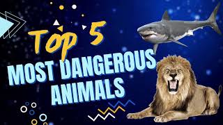 Top 5 most dangerous animals