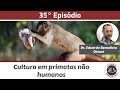 #35 - Cultura em primatas não humanos (com Eduardo Ottoni)