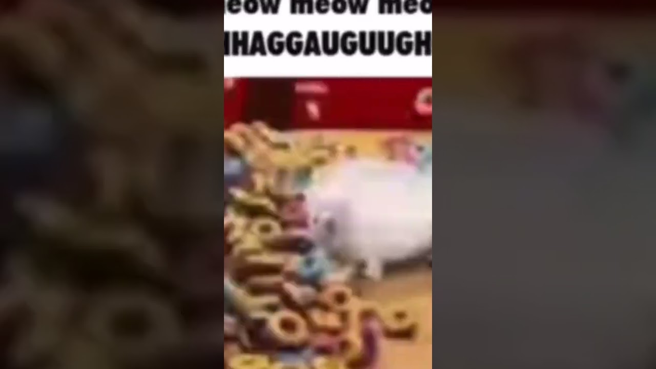 Meow meow meow AUGHHHHHH