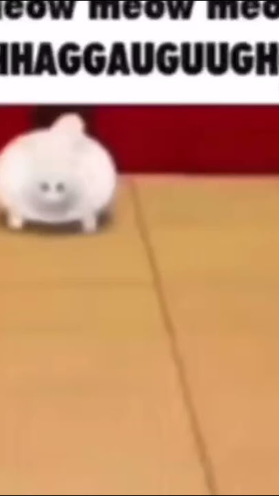Meow meow meow AUGHHHHHH
