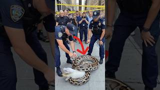 Polices Quick Action Saves Rabbit From A Sticky Situation