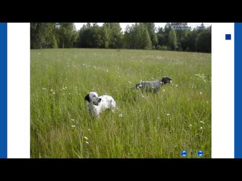 lowobr6 Мир природы