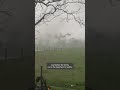 EF2 Tornado Shreds Chicken Houses On Alabama Farm