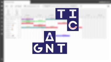 Ganttic - Custom Data Fields for Tasks