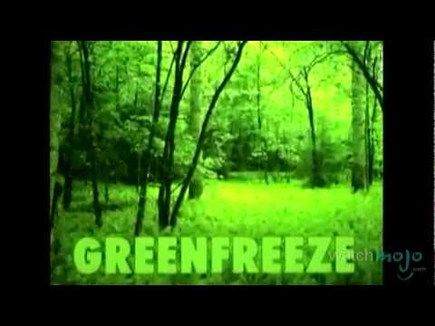 Video: Čeho je Greenpeace příkladem?