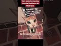 suscribite no seas culo. la ignorancia es una decisión. lee aprende o escucha este podcast.