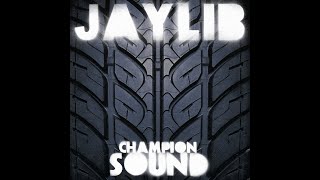 Jaylib - Survival Test (Instrumental)