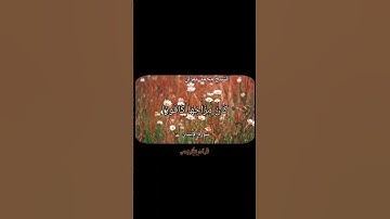 #قرآن #اكسبلور الشيخ محمد عمران #المصحف #قران_كريم سورة الإنسان