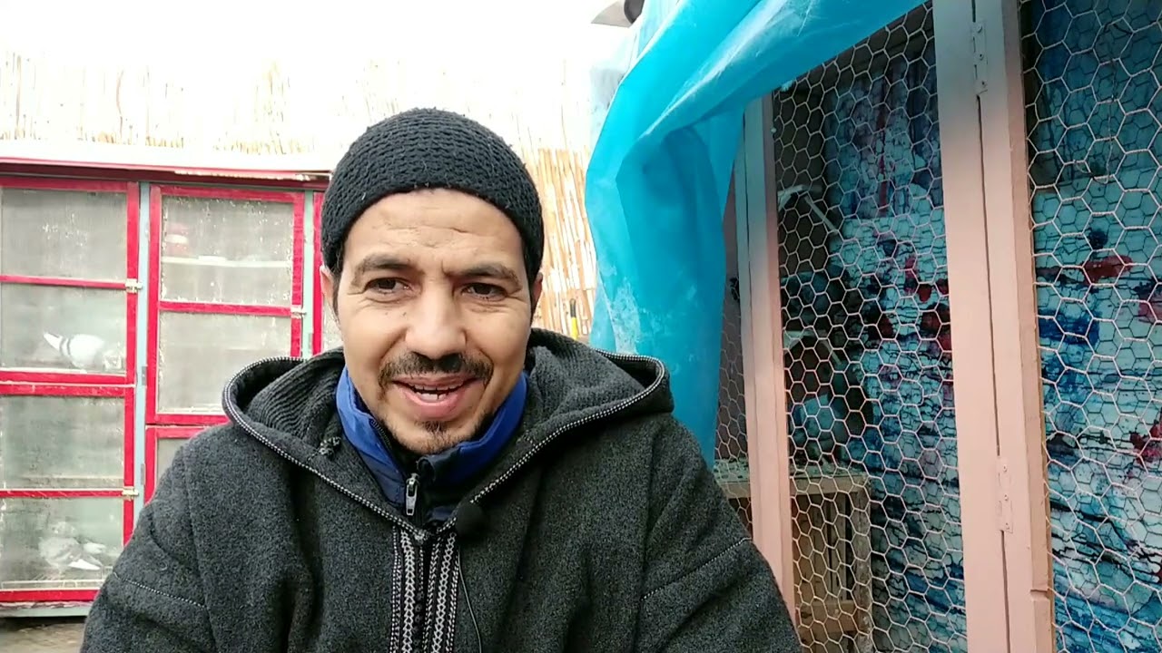 حمام الفعل الاصليل مراكش ✨ الموضوع،،،🤔،هوا كفاش ،،نعاج مراض ،،النجم،،شكرا للاخ مول العلاج الطبيعي 💯💯