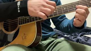 T-cophony The day you left acoustic cover