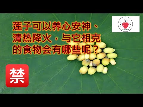 🧐莲子可以养心安神、清热降火，与它相克的食物有哪些呢?🙄