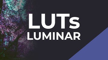 How to Use Luminar LUTs and Presets