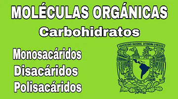 ¿Qué es una molécula y cuál es su función?