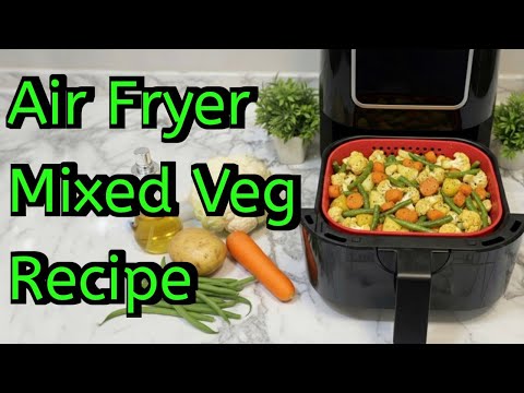 Air Fryer Recipes Vegetarian Pdf Indian Style