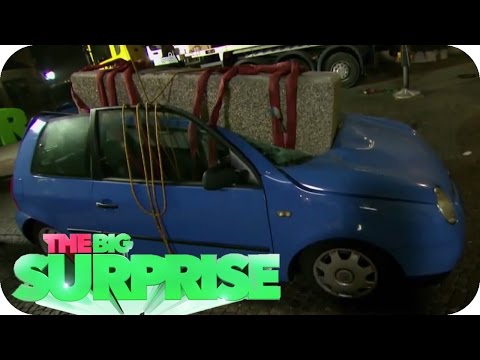 THE BIG SURPRISE