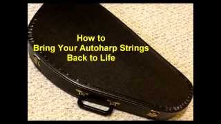 Autoharp String Restoration - Easy chords