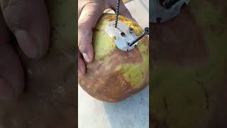 Coconut Tools Hacks Tips and tricks wood working viral reel #diy #tips #tools