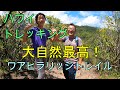 【ハワイトレッキング☆ワアヒラリッジトレイルへ挑戦】Waahila Ridge Trail 森林浴にも最高のスポット。