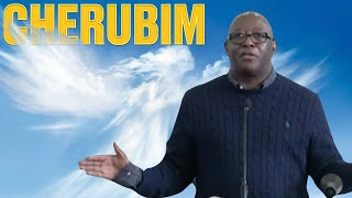 Cherubim | Pastor Mark Abrams