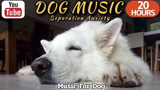 20 HOURS of Dog Calming Music🦮💖Separation Anxiety Relief Music🐶🎵Relaxing Music for Dogs⭐Healingmate by HealingMate - Dog Music 24,093 views 10 days ago 20 hours