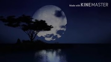 القارئ محمد النقيب ماتيسر من النساء مع الدعاء