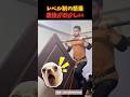 最後がおかしいレベル制の懸垂