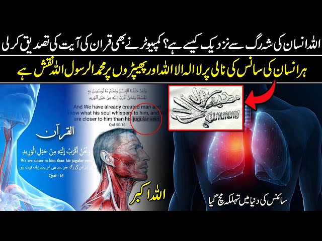 Kalma E Shahadat on Human Lungs Shocked the Scientists I Allah Miracle class=