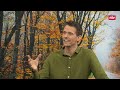 Jahreszeitenwechsel – So beeinflusst der Herbst Körper und Psyche | ntv