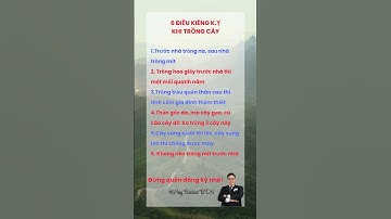 6 ĐIỀU KIÊNG K.Ỵ #baihoccuocsong #HuyReviewBĐS #xuhuong #shorts #thinhhanh