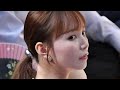 相撲観客席に「えらい美人」登場✨ 浴衣美女の大興奮が話題に「余韻がすごい～！」