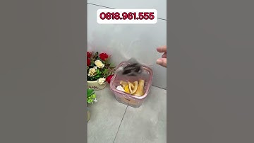 Lưới Lọc Rác Chống Tắc Nghẽn Cống Thoát Nước Nhà Tắm, Chống Côn Trùng