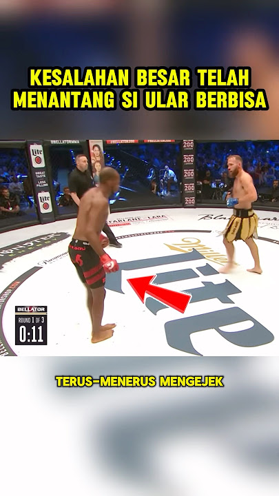 Big mistake has challenged the poisonous snake #shorts