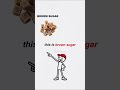 short english videos for beginners with subtitles