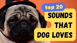 Top 20 Sounds that Dogs Love  Keep them tilting their heads for hours!