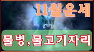 [11월 운세]물병자리 물고기자리 운세정보