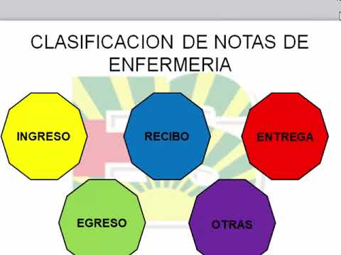 Calificaciones Para Un Director De Enfermería