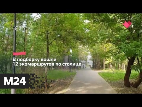 "Это наш город": опубликованы 12 экомаршрутов по природным зонам Москвы - Москва 24