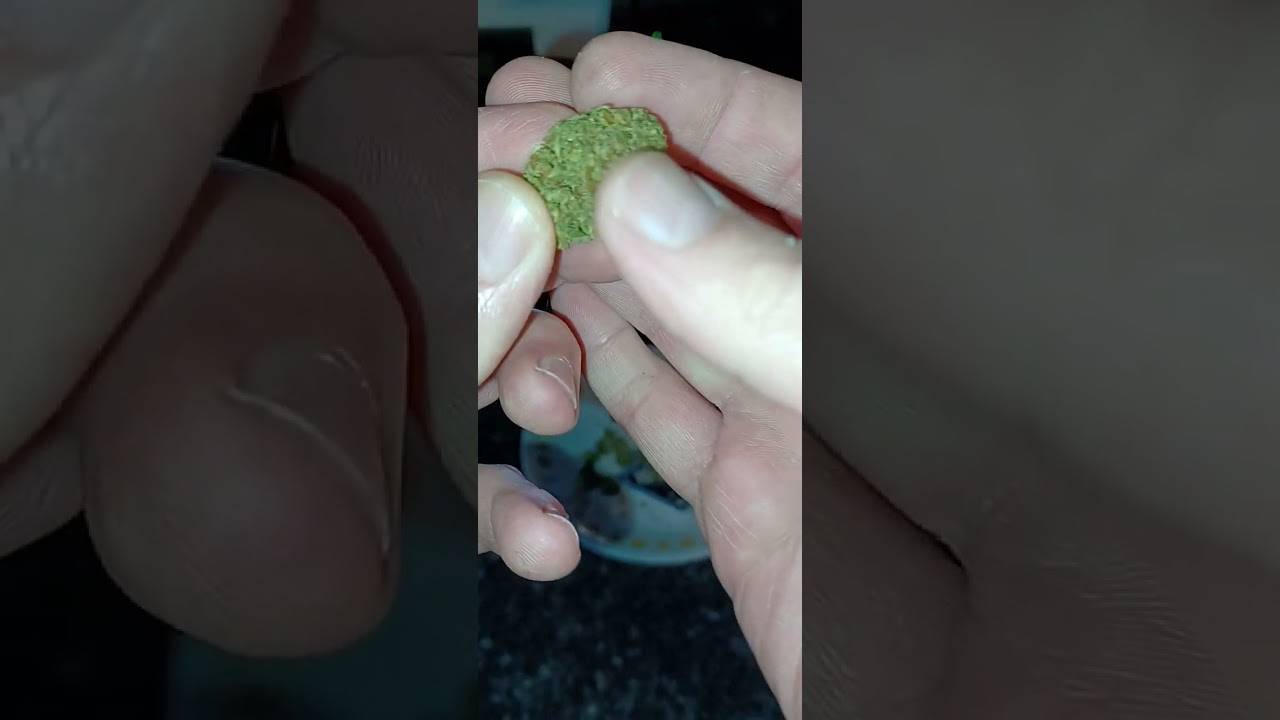 WNC CBD Lemon Octane outdoor hemp flower (is it good?)