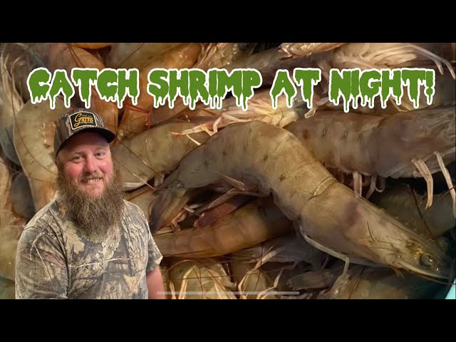 How To: SHRIMP at night! Full Dip Net Gear Explanation and Shrimp Perloo  Cook 