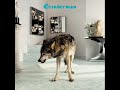 GRINDERMAN2  Kitchenette