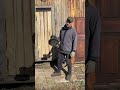 До/После:  результат вас удивит 🤯
