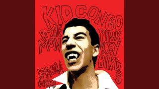 Video thumbnail of "Kid Congo & The pink monkey birds - Buck Angel"