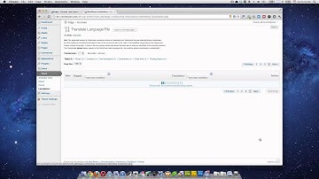 Translate WordPress theme by CodeStyling Localization