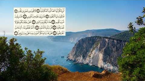 536-page - سعد الغامدي - -سورة - الواقعة -AL-WAQI'A- 56