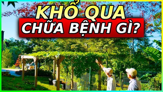 Cách Trồng Chuối Hiệu Quả Nhất Để Đạt Năng Suất Cao