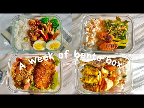 a-week-of-bento-box-🍱🥗-|-ide-bekal-makan-siang-#1